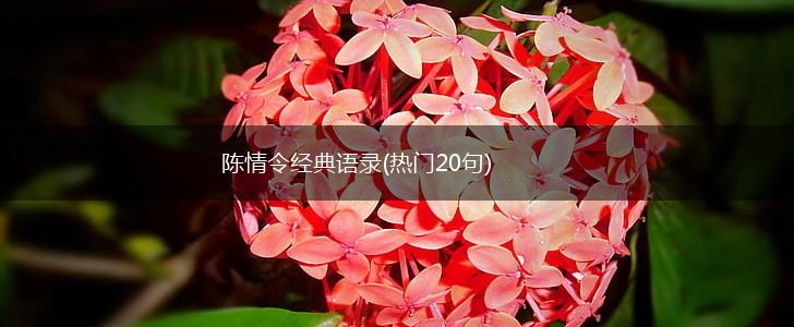 陈情令经典语录(热门20句),第1张