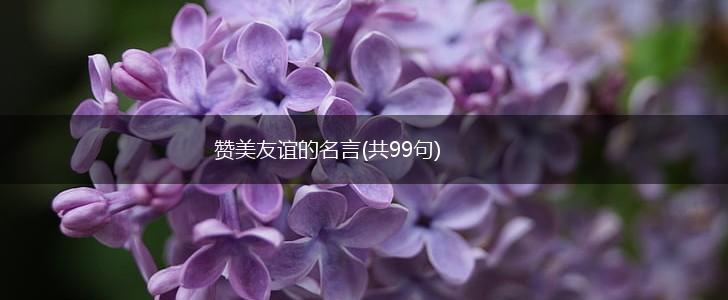 赞美友谊的名言(共99句),第1张