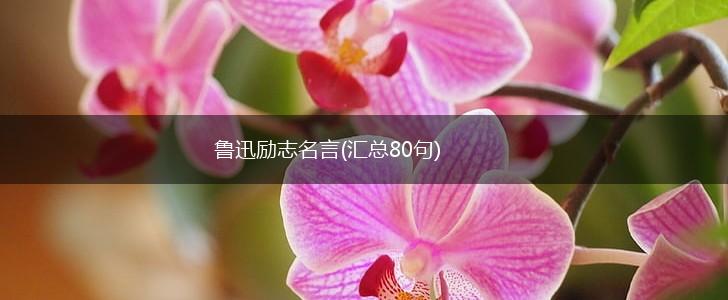 鲁迅励志名言(汇总80句),第1张