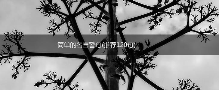 简单的名言警句(推荐120句),第1张