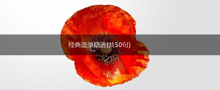 经典语录精选(共50句),第1张