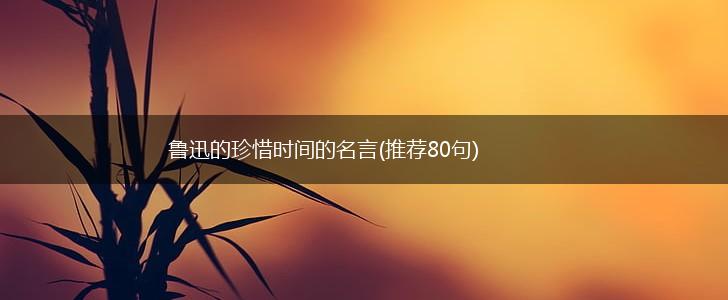鲁迅的珍惜时间的名言(推荐80句),第1张