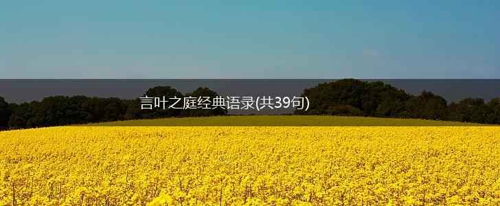 言叶之庭经典语录(共39句),第1张