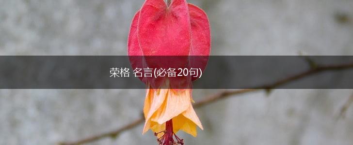荣格 名言(必备20句),第1张
