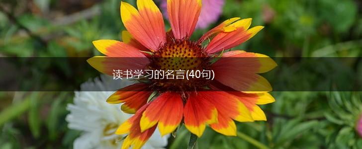 读书学习的名言(40句),第1张