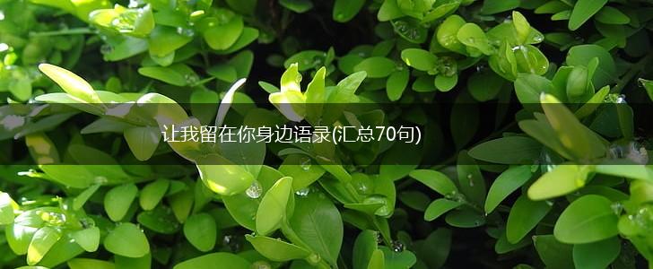 让我留在你身边语录(汇总70句),第1张