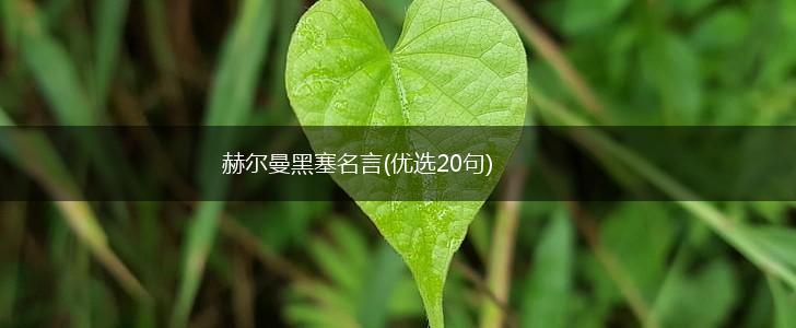 赫尔曼黑塞名言(优选20句),第1张 赫尔曼黑塞名言(优选20句),第1张