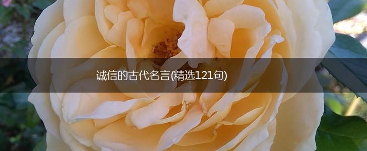 诚信的古代名言(精选121句),第1张 诚信的古代名言(精选121句),第1张