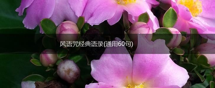 风语咒经典语录(通用60句),第1张