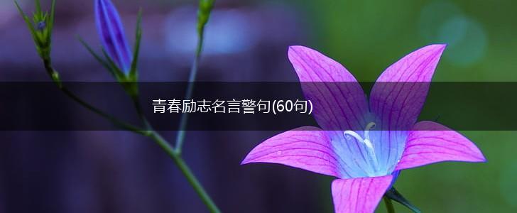 青春励志名言警句(60句),第1张