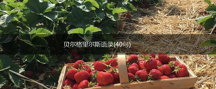 贝尔格里尔斯语录(40句),第1张
