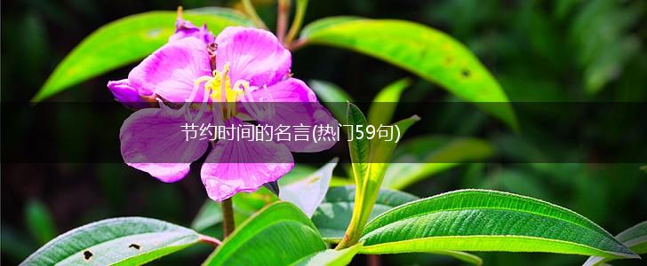 节约时间的名言(热门59句),第1张