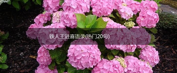 铁人王进喜语录(热门20句),第1张