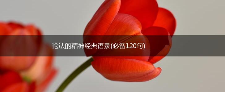 论法的精神经典语录(必备120句),第1张