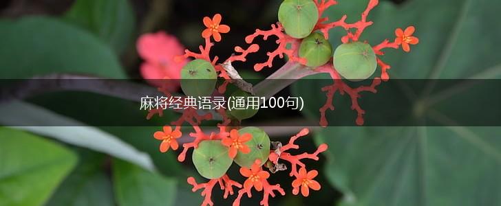 麻将经典语录(通用100句),第1张
