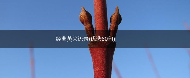 经典英文语录(优选80句),第1张