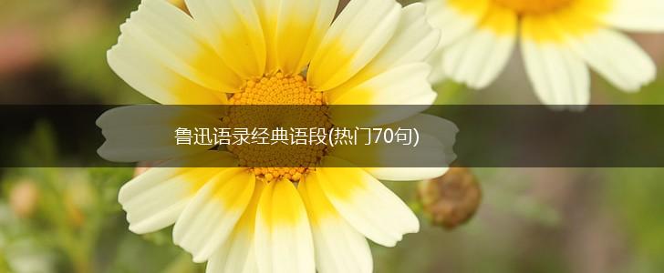鲁迅语录经典语段(热门70句),第1张