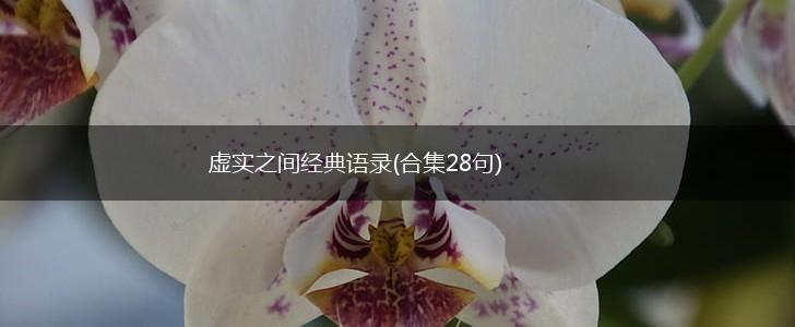 虚实之间经典语录(合集28句),第1张