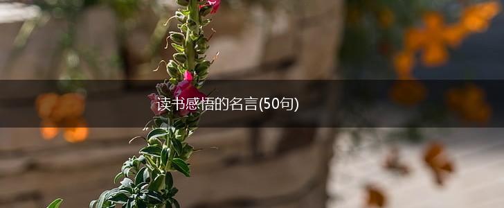 读书感悟的名言(50句),第1张 读书感悟的名言(50句),第1张