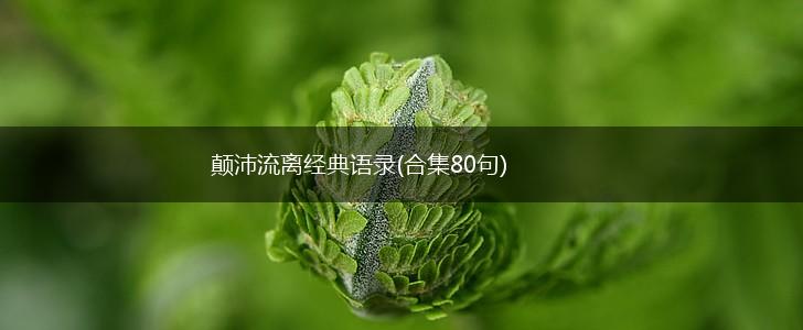 颠沛流离经典语录(合集80句),第1张