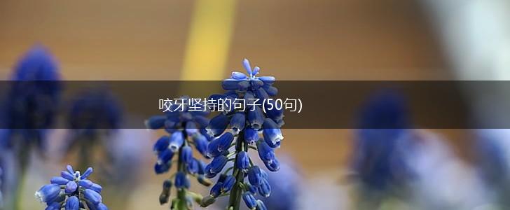 咬牙坚持的句子(50句),第1张
