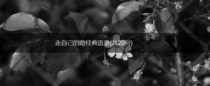 走自己的路经典语录(共20句),第1张