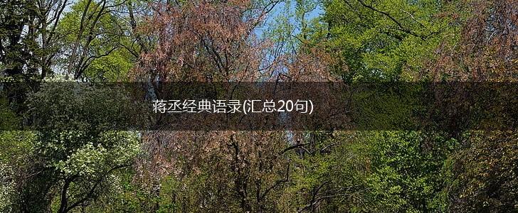 蒋丞经典语录(汇总20句),第1张