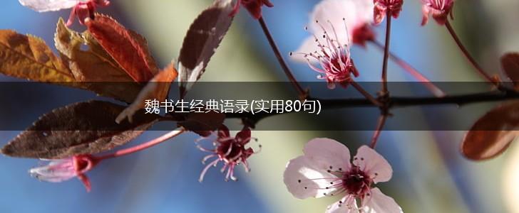魏书生经典语录(实用80句),第1张