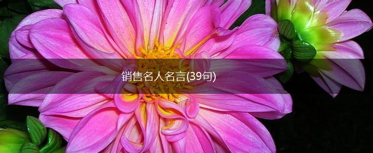销售名人名言(39句),第1张