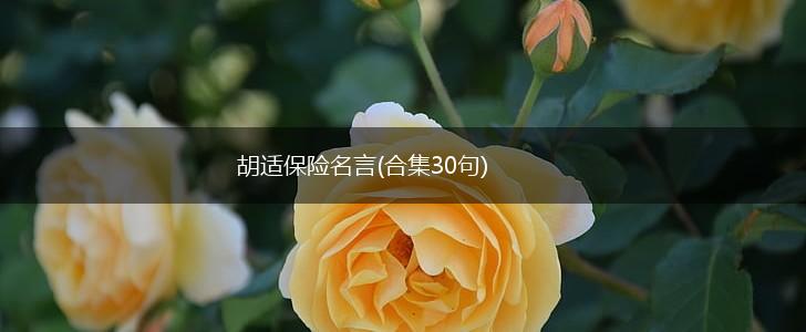 胡适保险名言(合集30句),第1张 胡适保险名言(合集30句),第1张