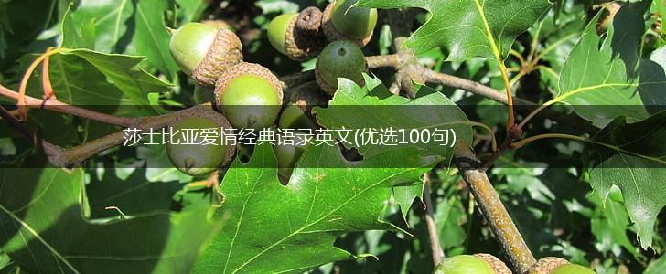 莎士比亚爱情经典语录英文(优选100句),第1张