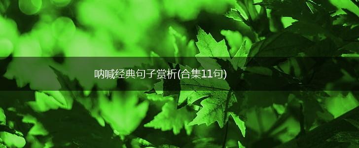 呐喊经典句子赏析(合集11句),第1张