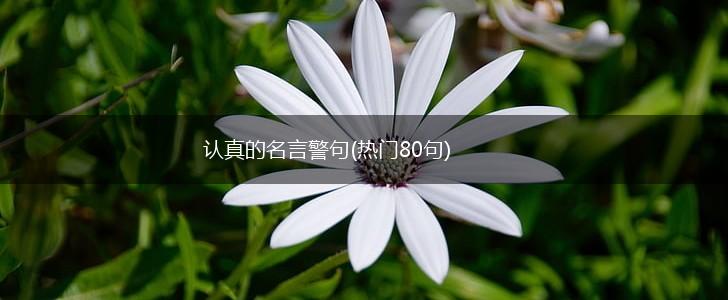 认真的名言警句(热门80句),第1张