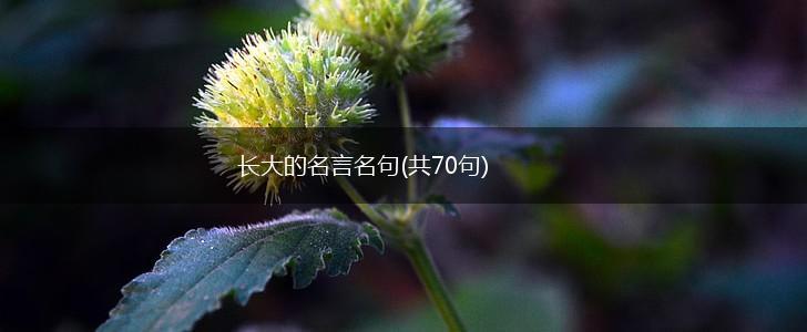 长大的名言名句(共70句),第1张