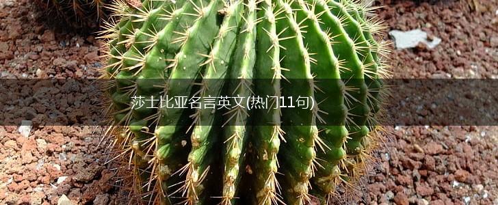 莎士比亚名言英文(热门11句),第1张 莎士比亚名言英文(热门11句),第1张