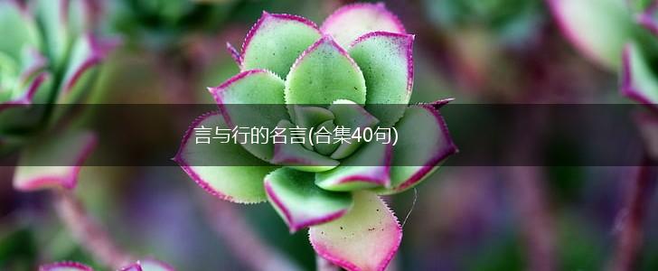 言与行的名言(合集40句),第1张 言与行的名言(合集40句),第1张