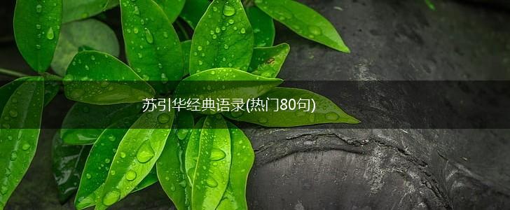 苏引华经典语录(热门80句),第1张
