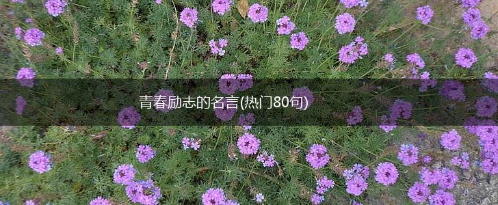 青春励志的名言(热门80句),第1张