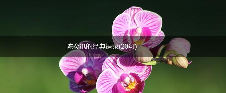 陈奕迅的经典语录(20句),第1张