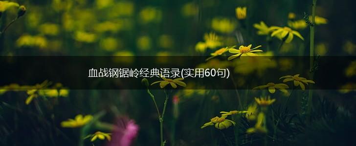 血战钢锯岭经典语录(实用60句),第1张
