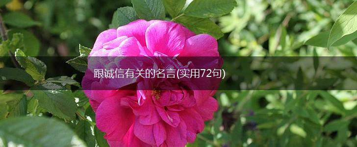 跟诚信有关的名言(实用72句),第1张