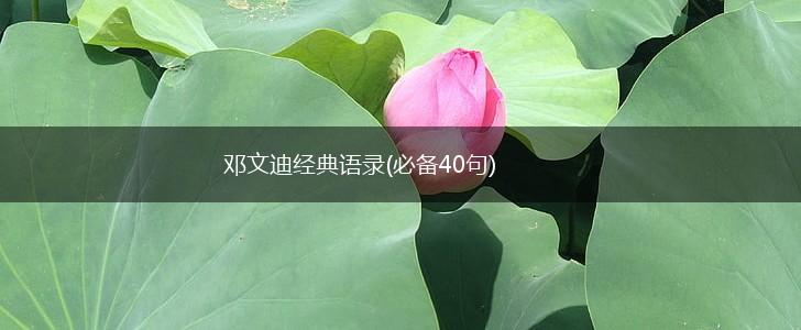邓文迪经典语录(必备40句),第1张