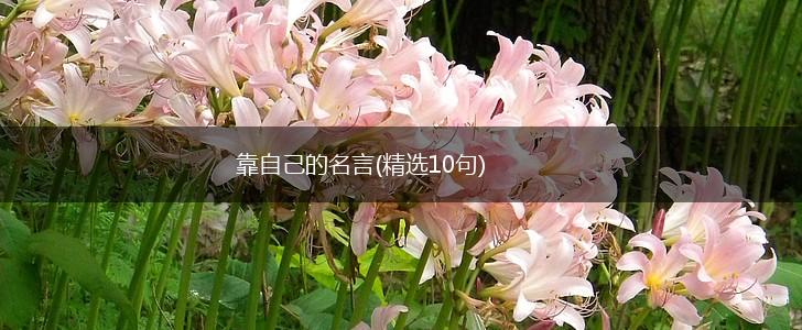 靠自己的名言(精选10句),第1张