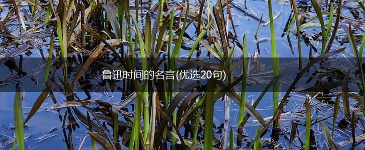 鲁迅时间的名言(优选20句),第1张