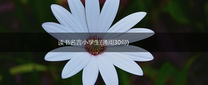 读书名言小学生(通用30句),第1张 读书名言小学生(通用30句),第1张