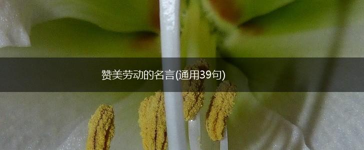 赞美劳动的名言(通用39句),第1张