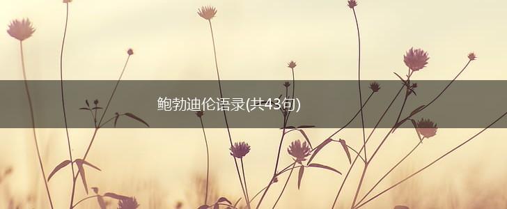 鲍勃迪伦语录(共43句),第1张