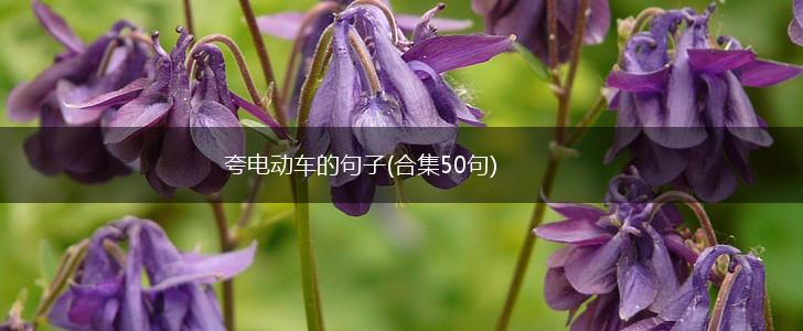 夸电动车的句子(合集50句),第1张