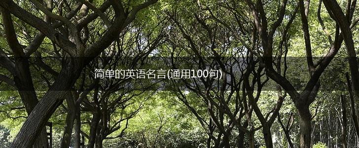 简单的英语名言(通用100句),第1张