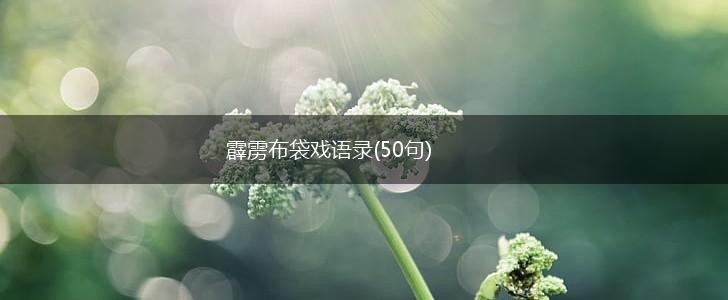 霹雳布袋戏语录(50句),第1张